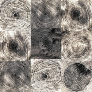 멜리아 그리지오 600*600