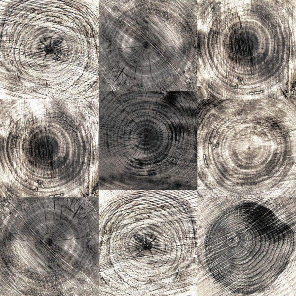 멜리아 그리지오 600*600