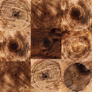 멜리아 네추럴 600*600