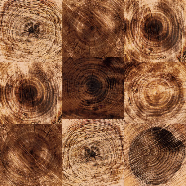 멜리아 네추럴 600*600