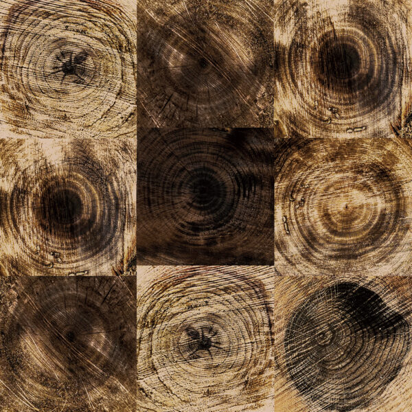 멜리아 오크 600*600