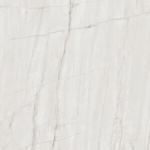 화이트 마카우바스(P)